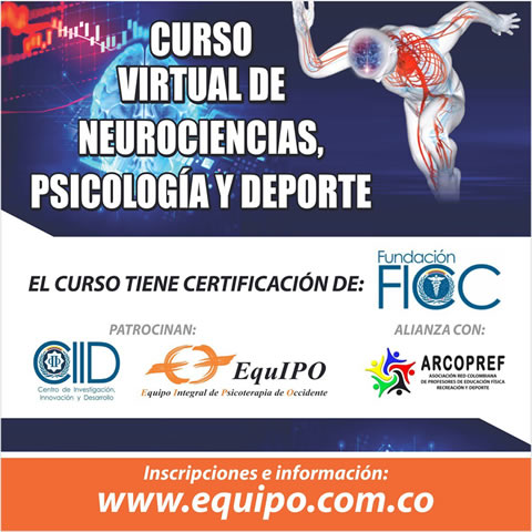 Link de Pago
